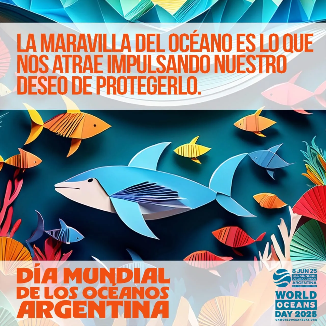 WhatsApp Image 2025-05-30 at 21.49.32