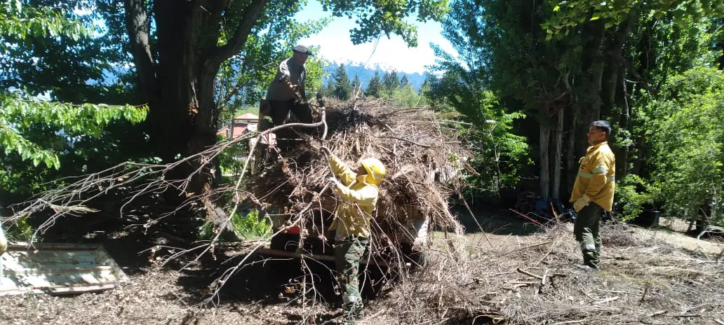 WhatsApp Image 2024-12-09 at 09.38.46 (2)