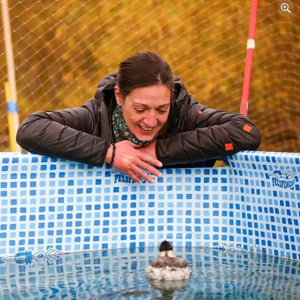 WhatsApp Image 2026-01-15 at 23.12.52