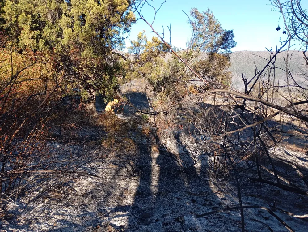 WhatsApp Image 2025-03-25 at 13.02.19