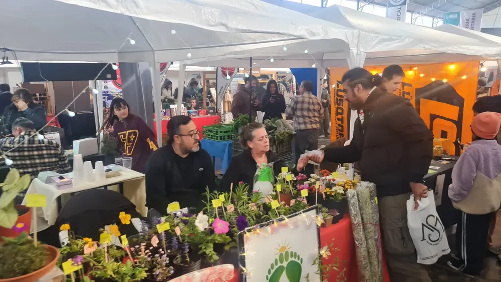 WhatsApp Image 2025-11-09 at 21.59.14