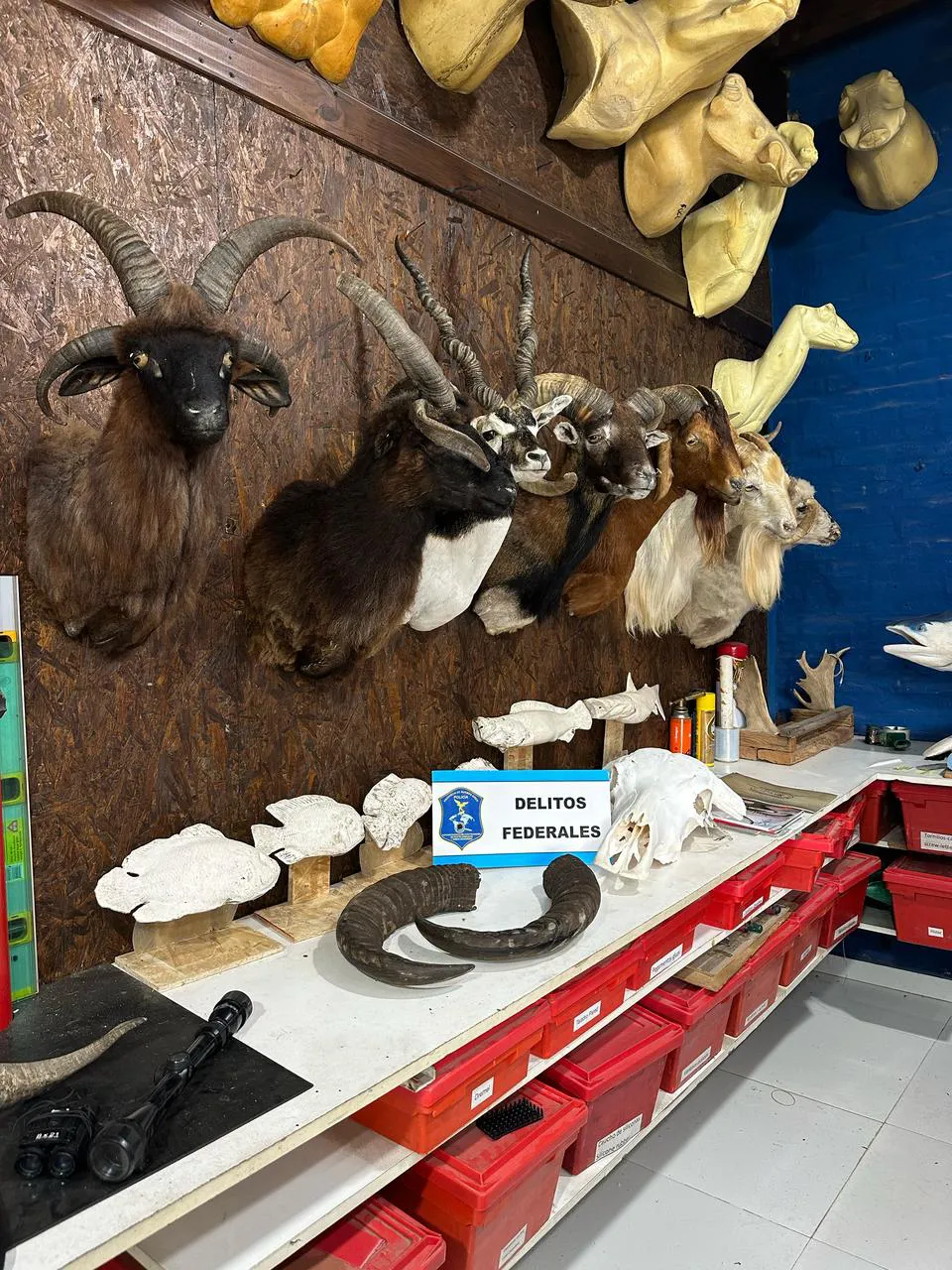 WhatsApp Image 2025-04-25 at 15.34.33