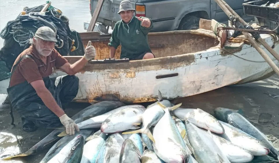 Una de las primeras capturas de pez limón por pescadores artesanales