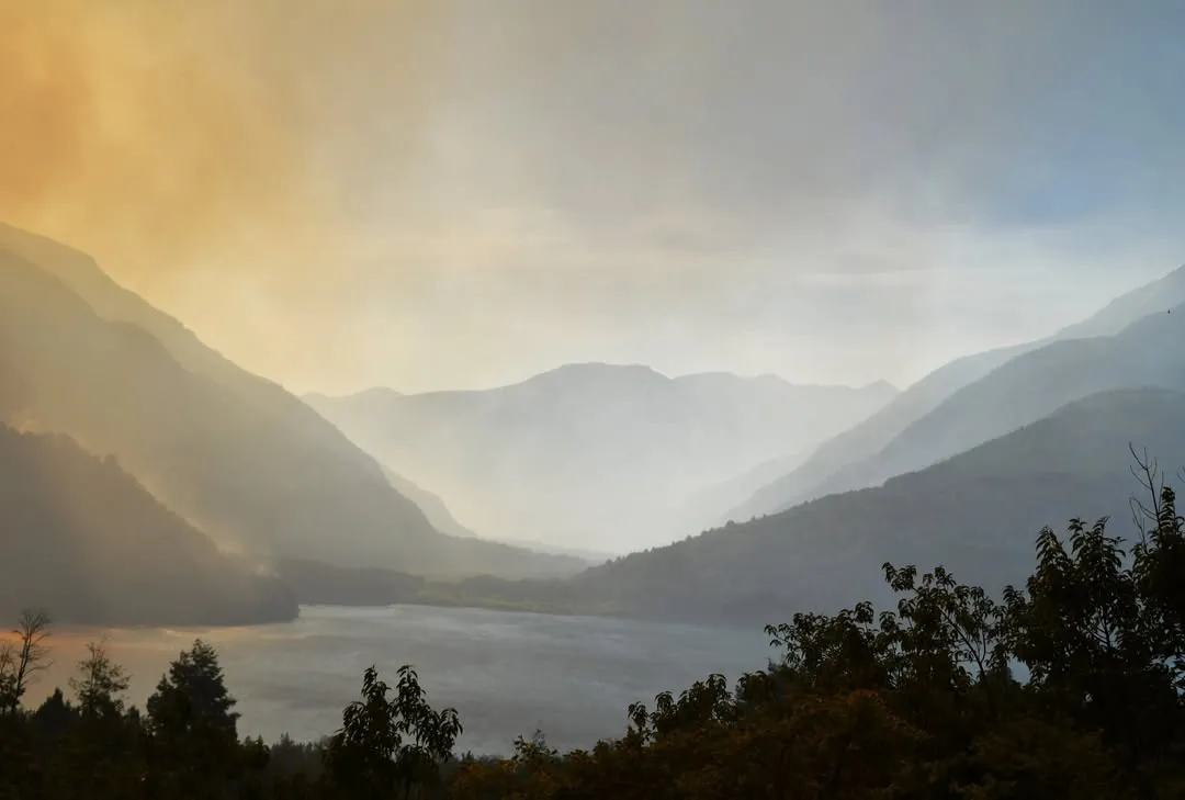 El paraíso convertido en infierno.Zona Norte, Parque Nacional Los Alerces, Chubut, Patagonia Arg