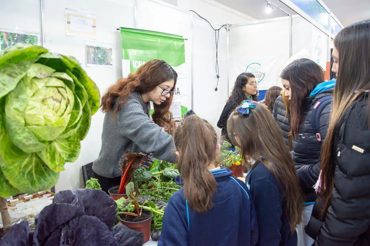 WhatsApp Image 2025-05-29 at 13.04.01 (2)