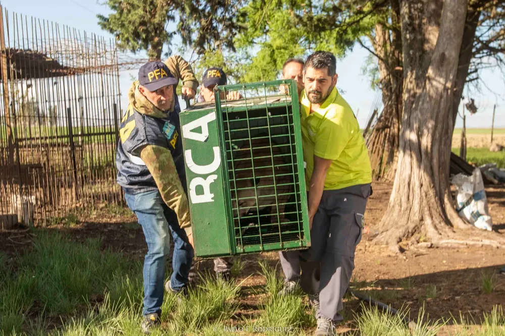 WhatsApp Image 2024-11-21 at 15.06.48