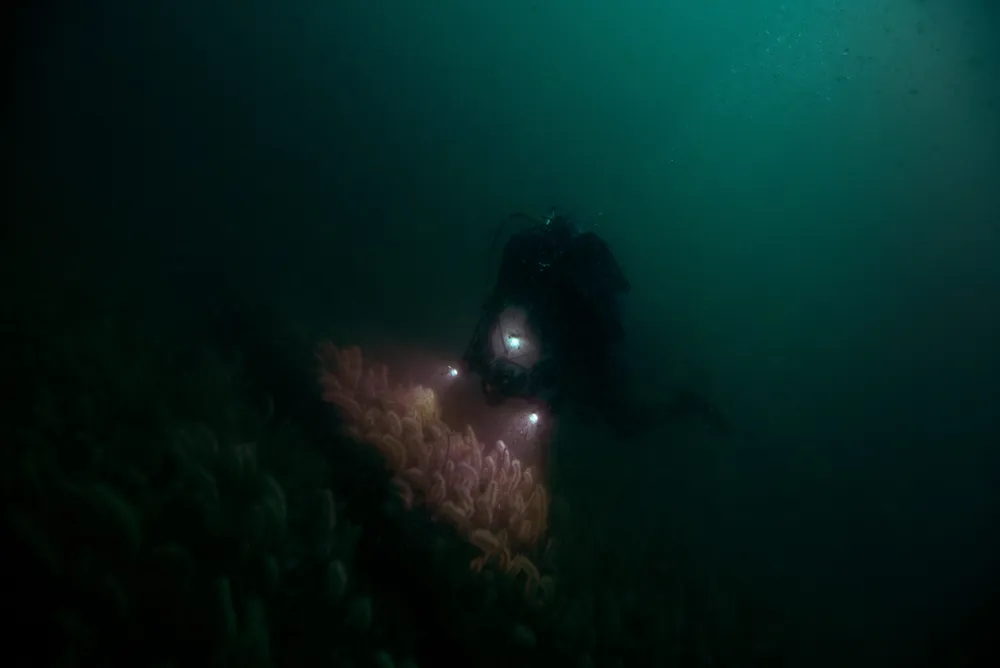 1- foto de Proyecto Arrecife (baja)