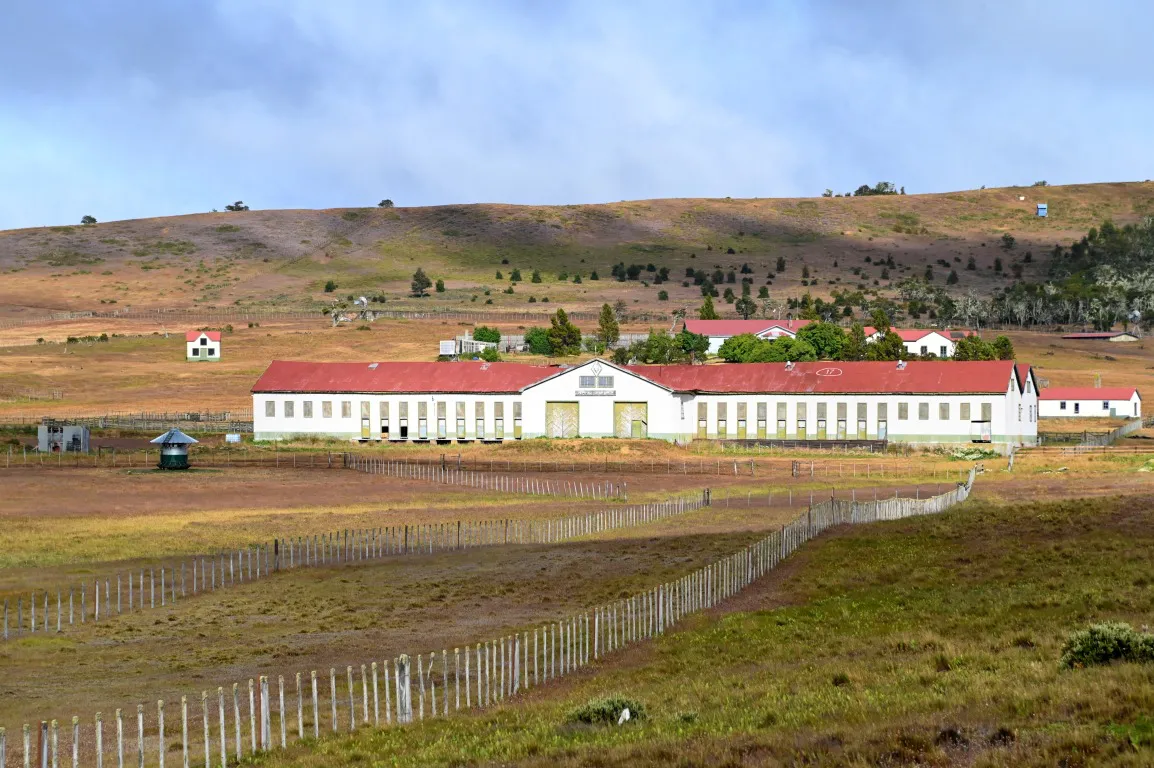 WhatsApp Image 2024-02-19 at 18.43.44 (1)