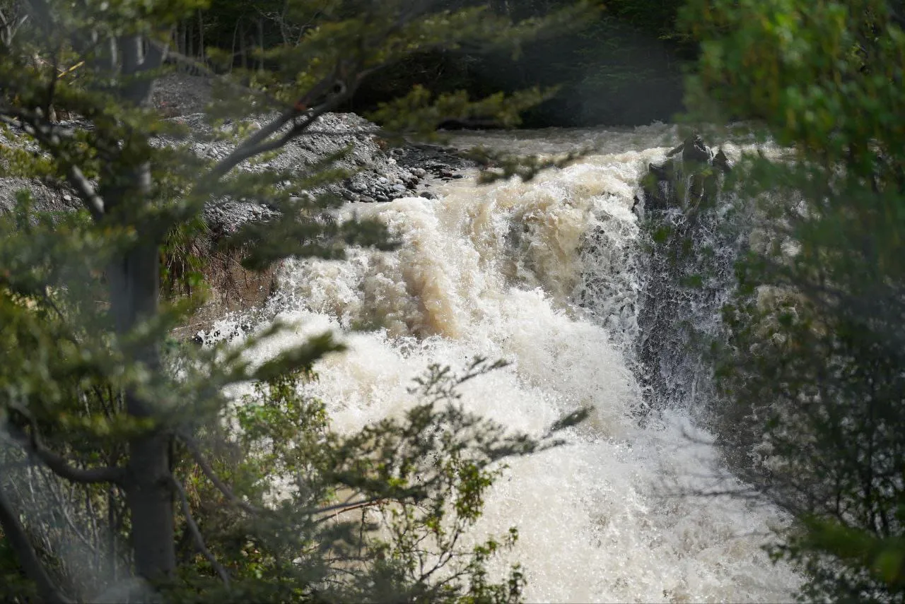 WhatsApp Image 2025-11-10 at 21.00.06 (1)