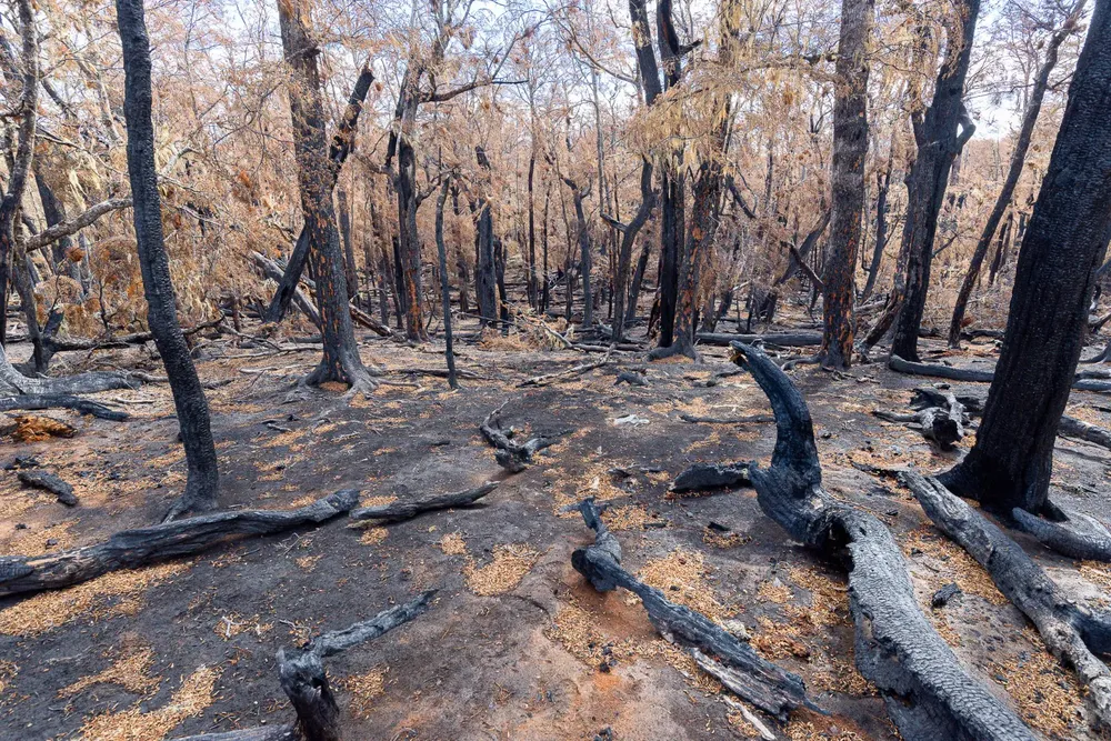 WhatsApp Image 2023-10-24 at 09.22.57 (1)