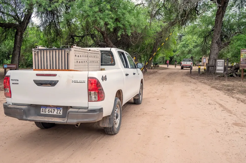 WhatsApp Image 2024-10-25 at 09.15.42