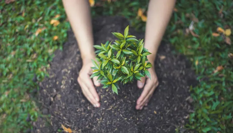 WhatsApp Image 2024-04-22 at 14.15.36 (1)