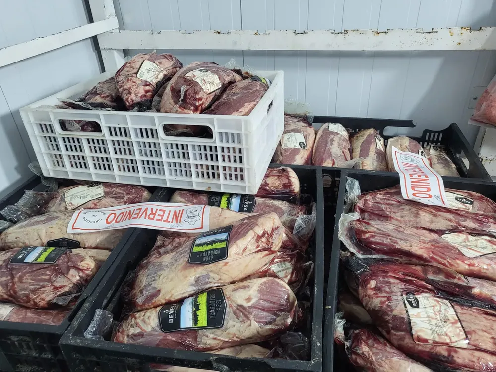 WhatsApp Image 2025-08-12 at 18.00.47 (1)