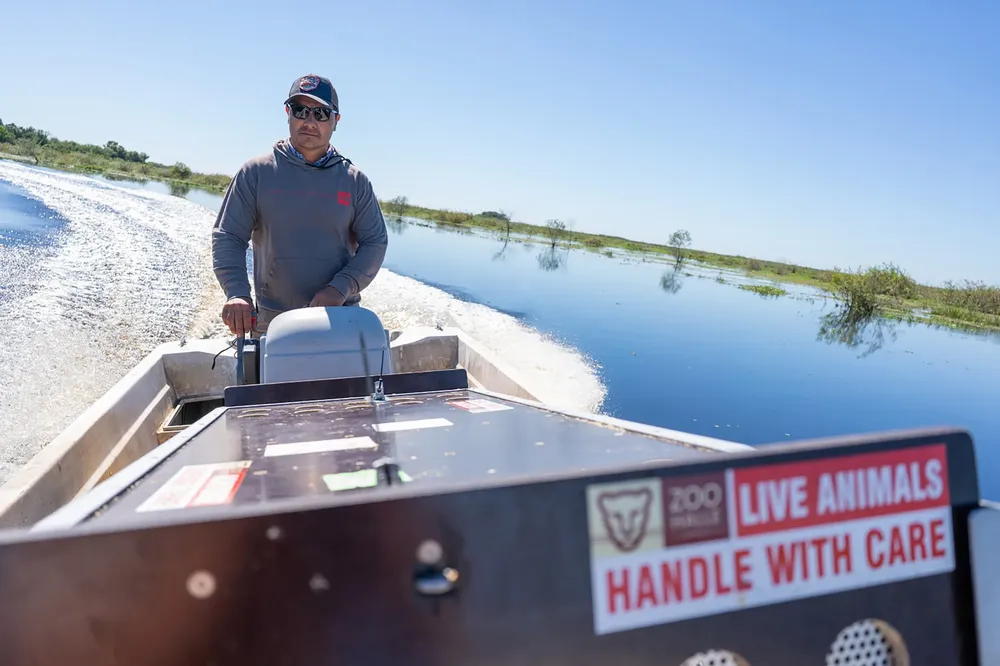 WhatsApp Image 2024-10-25 at 09.15.23 (1)