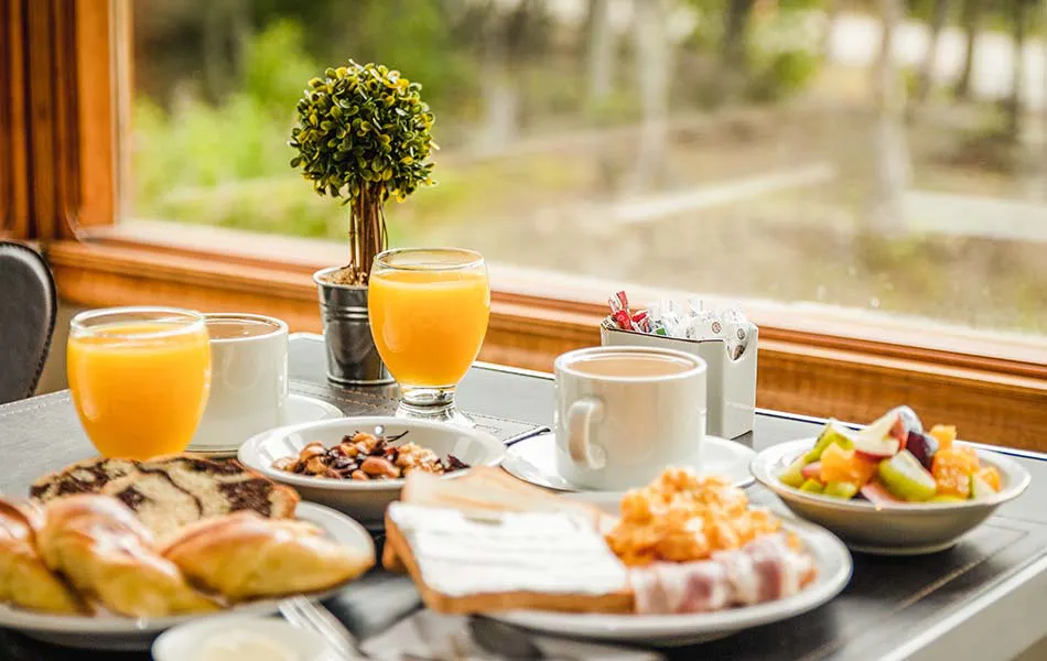 desayunador-del-bosque-05