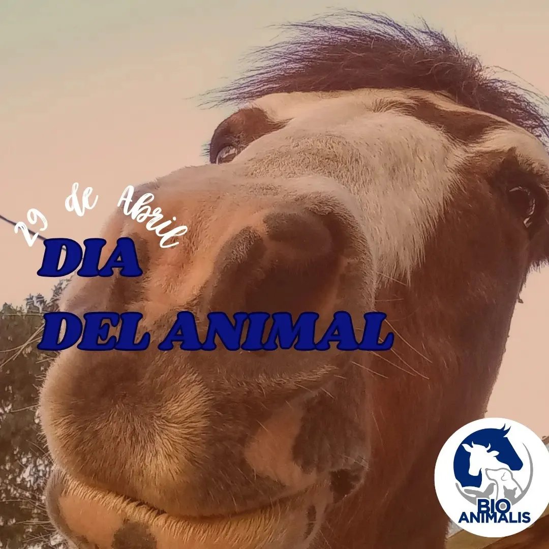 439866799_814749057365115_6419657345664768922_n