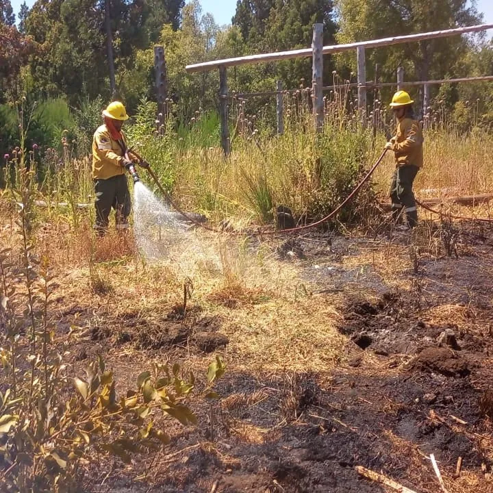 WhatsApp Image 2025-01-22 at 10.10.06