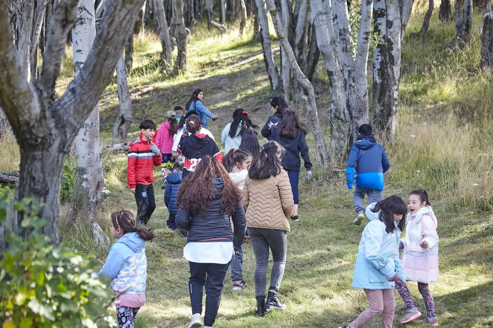 WhatsApp Image 2024-03-22 at 15.41.26 (1)