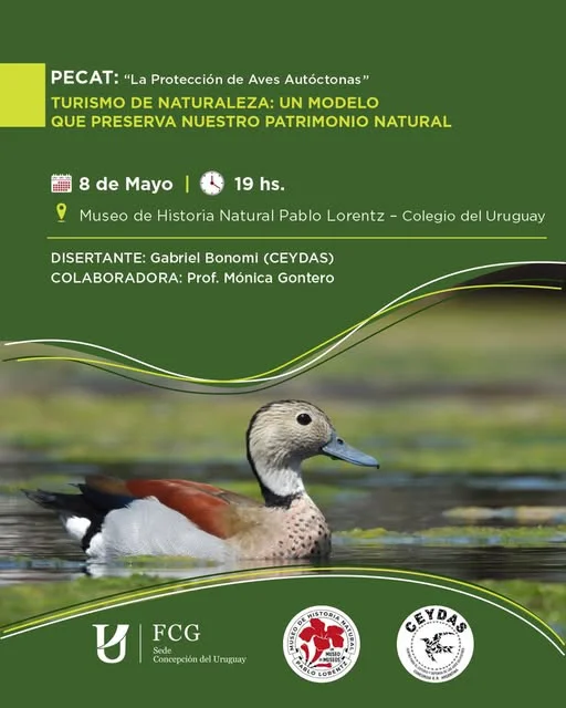 Aves autóctonas en foco charla abierta sobre turismo de naturaleza y conservación en Entre Ríos
