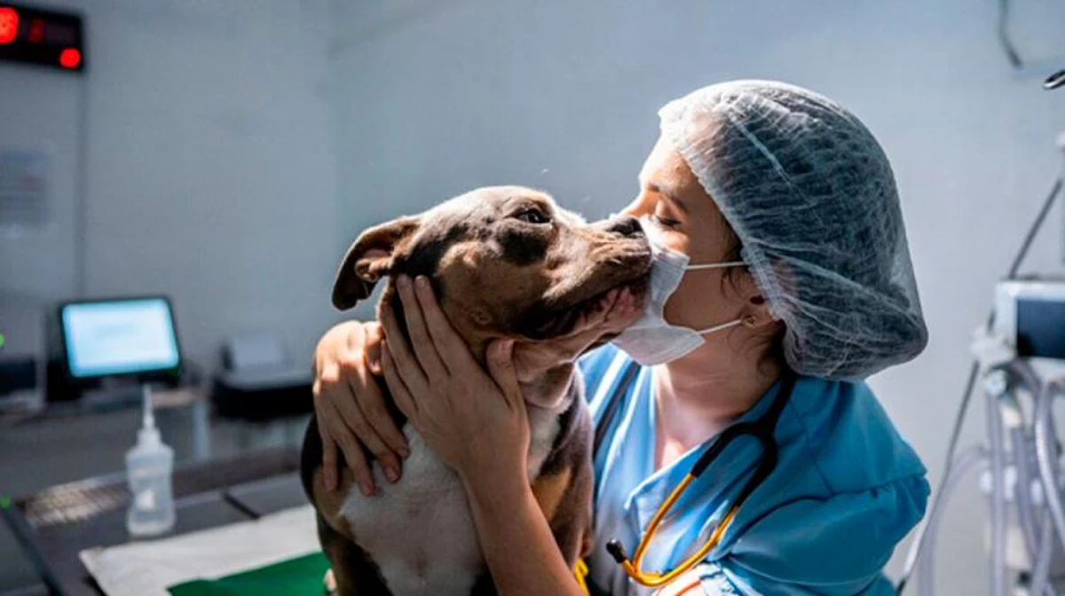 1200x672_dia-veterinario-por-se-celebra-cada-6-agosto-argentina-1096376-084647