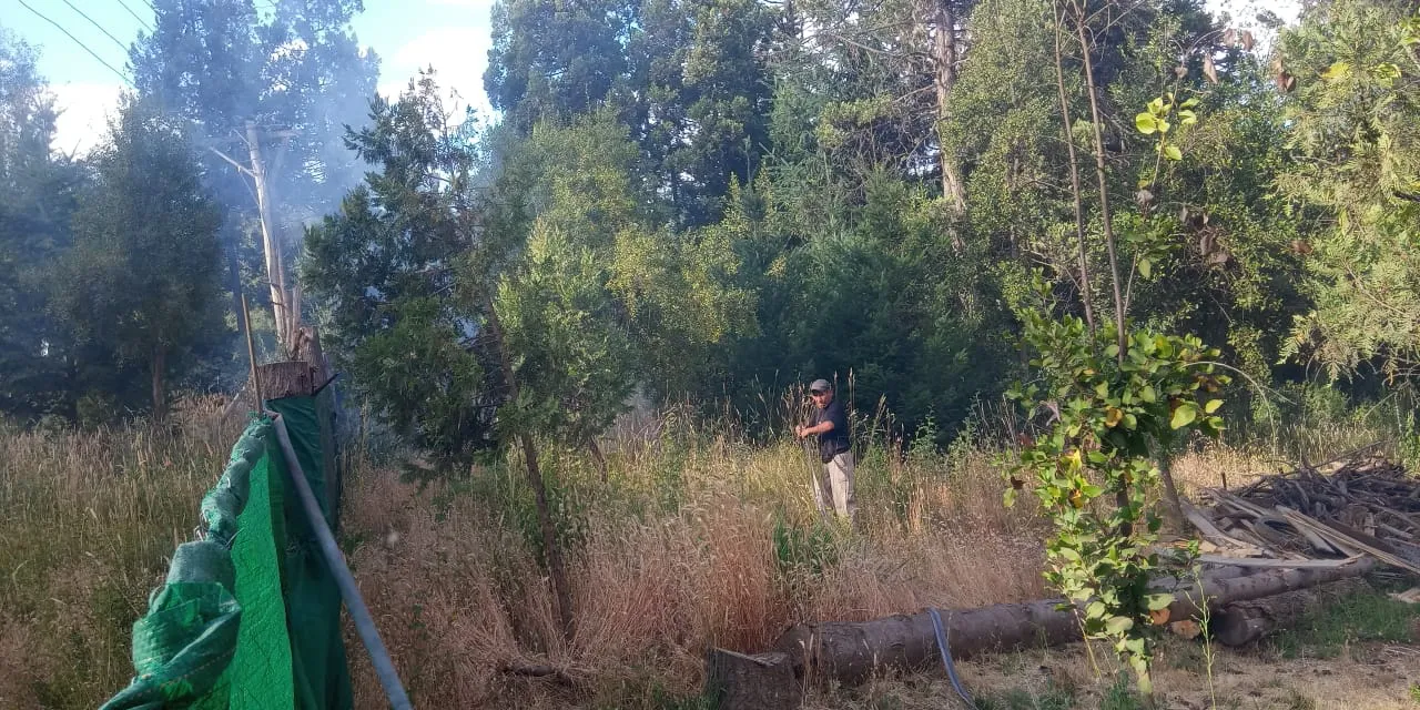 WhatsApp Image 2025-01-27 at 09.50.07 (1)