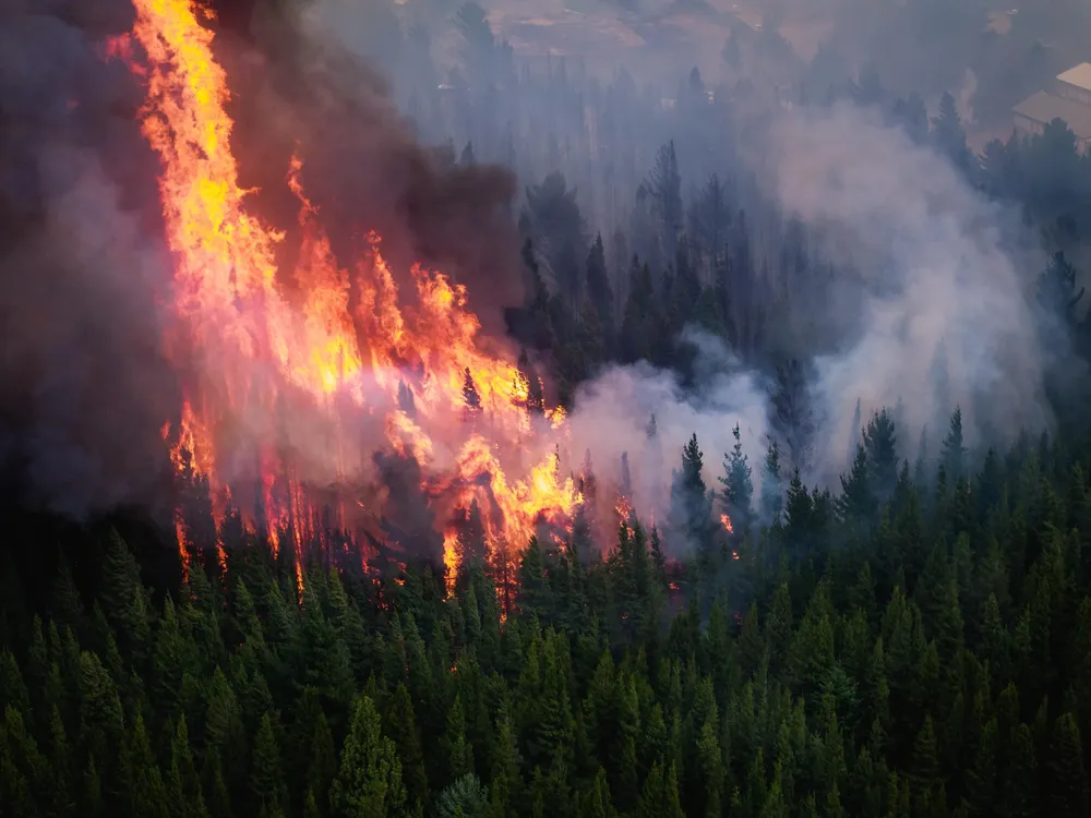 WhatsApp Image 2025-02-28 at 5.38.19 PM (1)