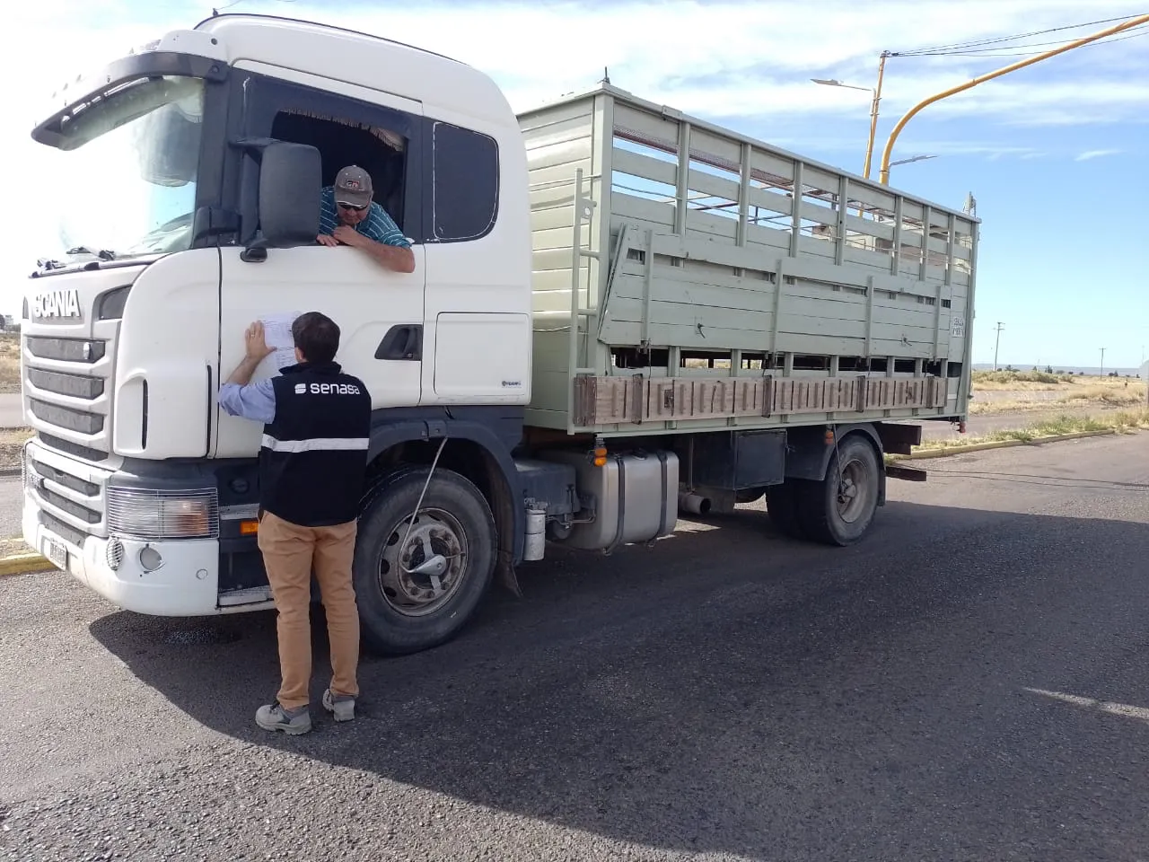 WhatsApp Image 2025-01-06 at 17.22.31