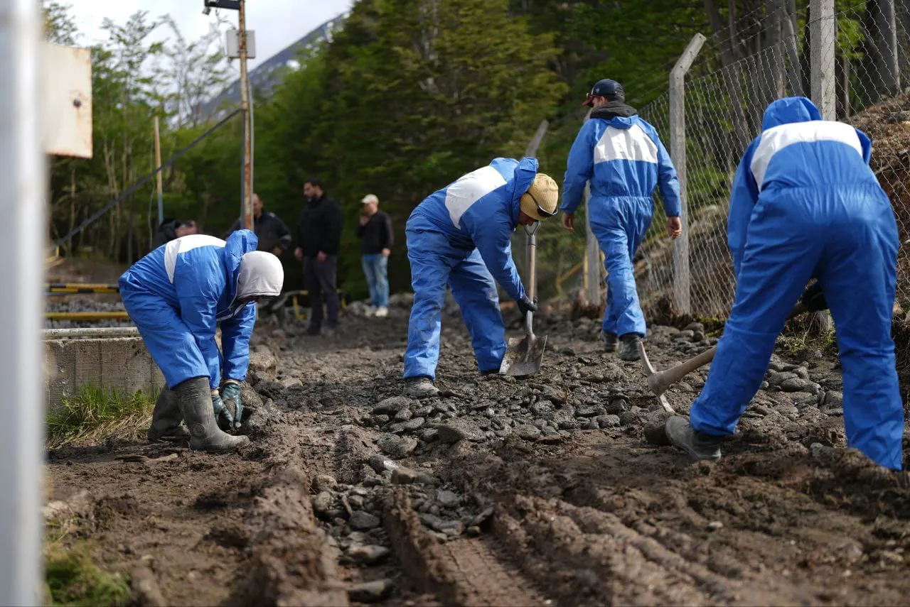 WhatsApp Image 2025-11-10 at 21.01.02