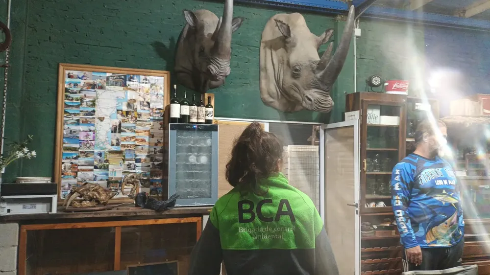 WhatsApp Image 2025-04-25 at 15.34.31 (1)