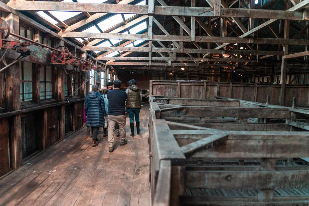 Excursion-completa-EA.-Cabo-San-Pablo-62