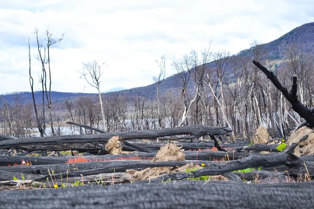 WhatsApp Image 2024-02-15 at 20.02.35