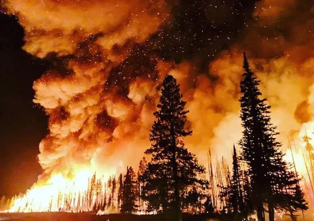 europa-arde-bajo-un-verano-historico-entre-incendios-calor-y-cifras-que-estremecen-1755418913852_1024