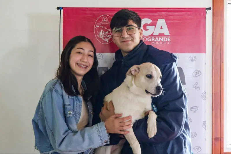 WhatsApp Image 2024-12-29 at 20.52.11