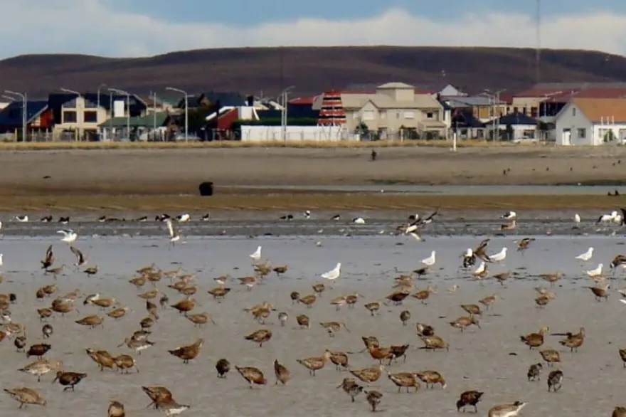 20240828114456_273771266_957797751607791_8073952309378336827_n