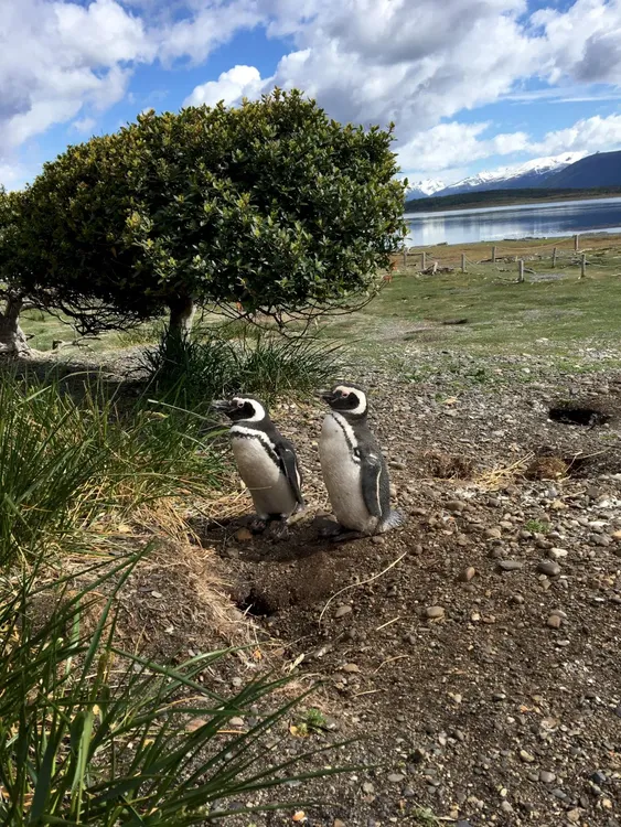 whatsapp image 2024-07-29 at 16.58.04 (1)_1722364789