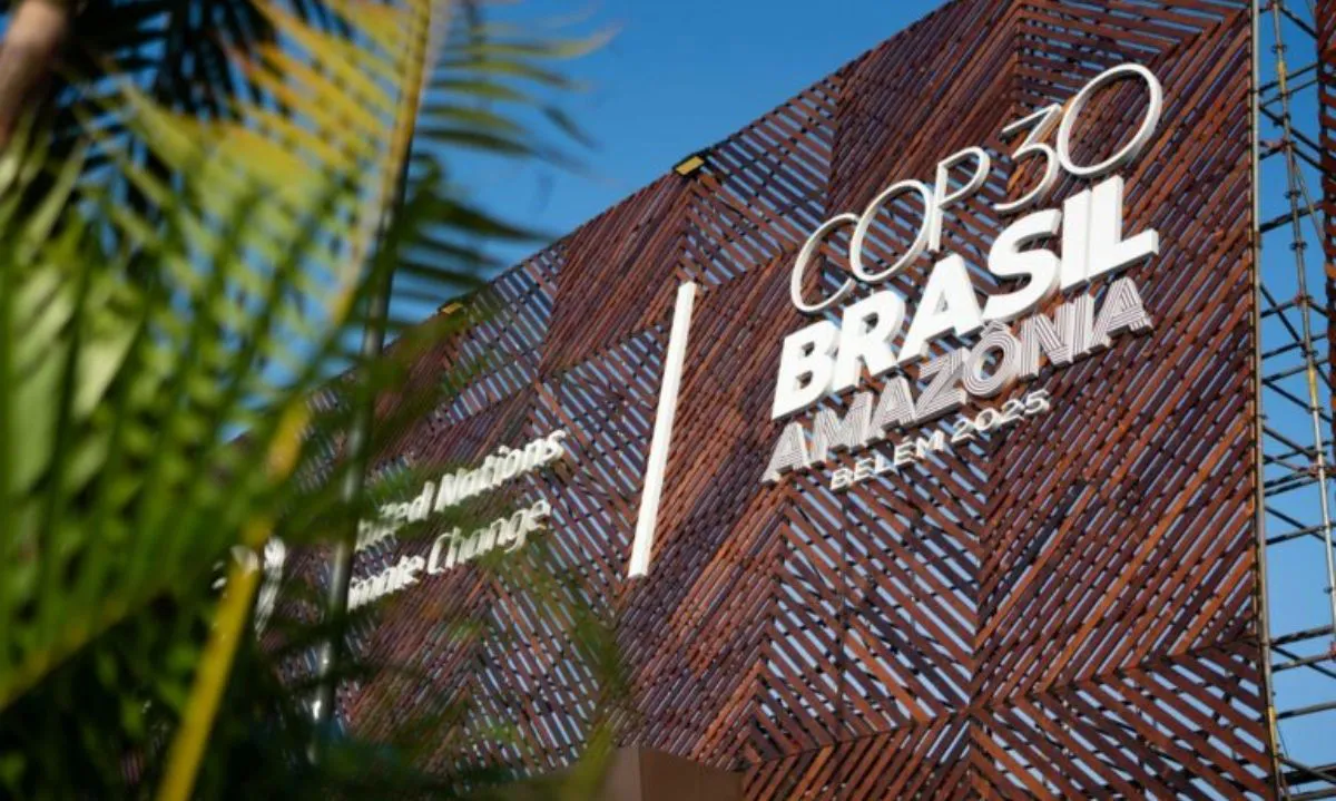 WhatsApp Image 2025-11-13 at 22.46.21