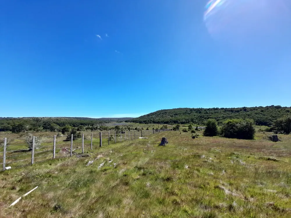 WhatsApp Image 2025-12-09 at 20.58.22 (1)