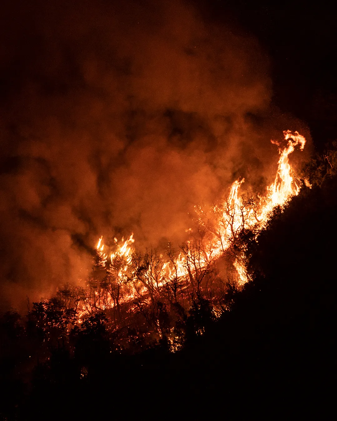 Copia de Copia de POST 2