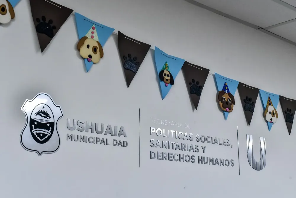 WhatsApp Image 2024-05-29 at 11.24.37 (2)