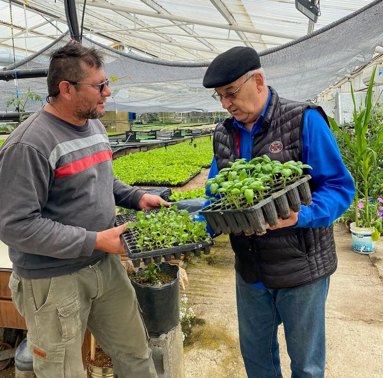 WhatsApp Image 2025-02-04 at 20.18.03 (2)