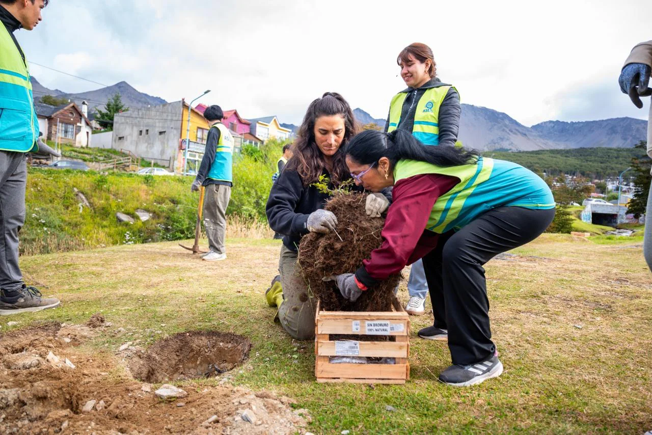 WhatsApp Image 2026-02-23 at 15.21.38