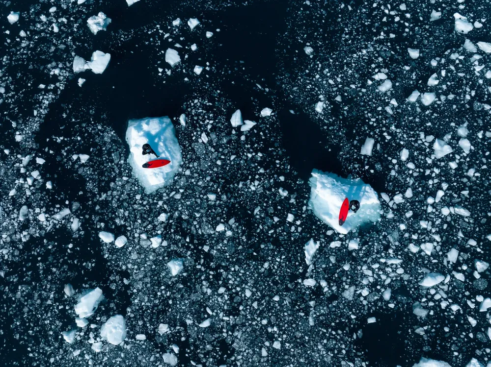 8- GDM - Antártida Dominio 1