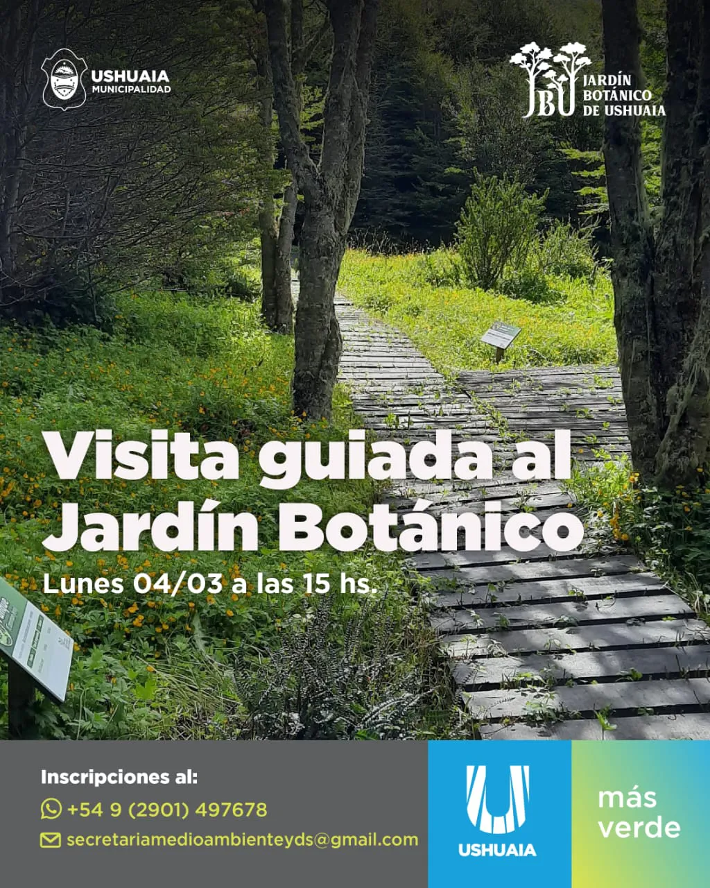 WhatsApp Image 2024-02-29 at 16.51.37