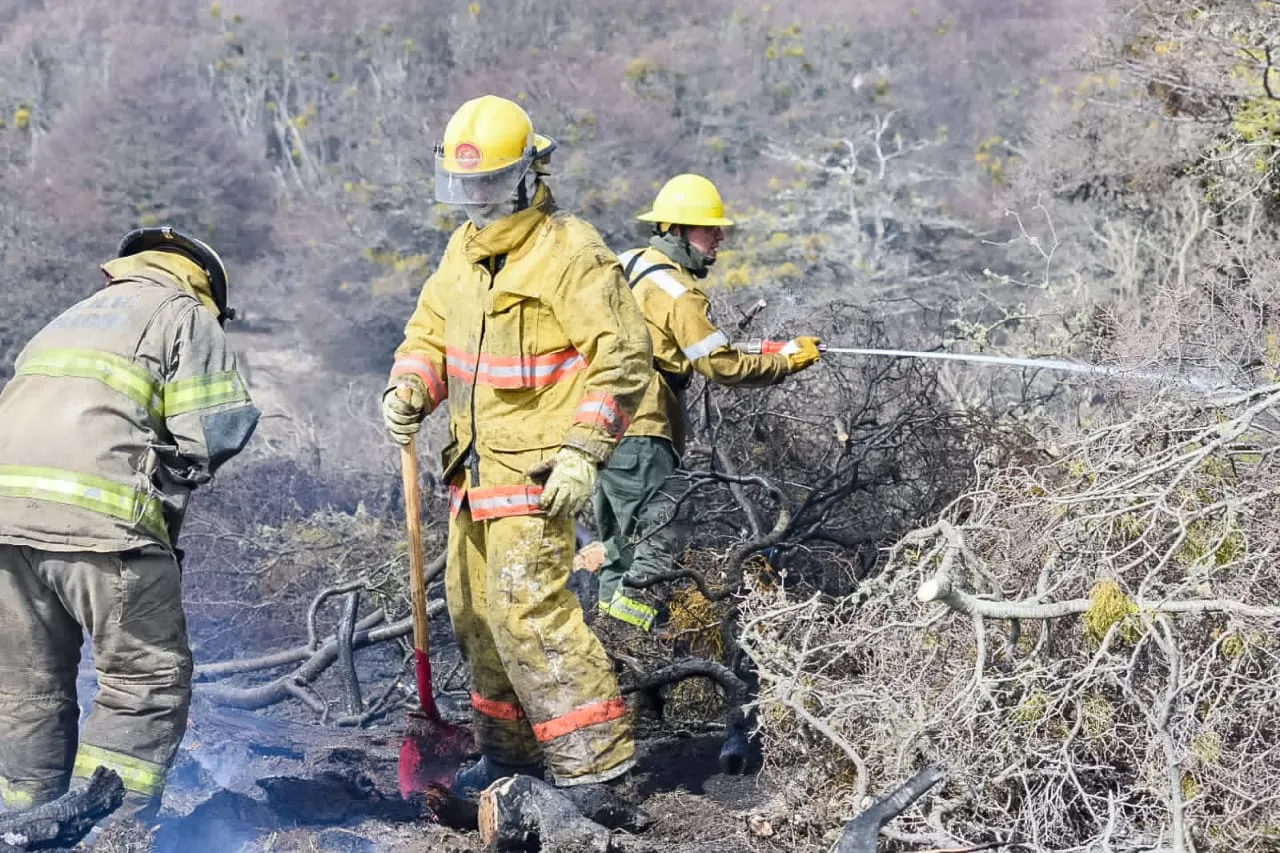 WhatsApp Image 2023-10-25 at 21.48.00 (1)