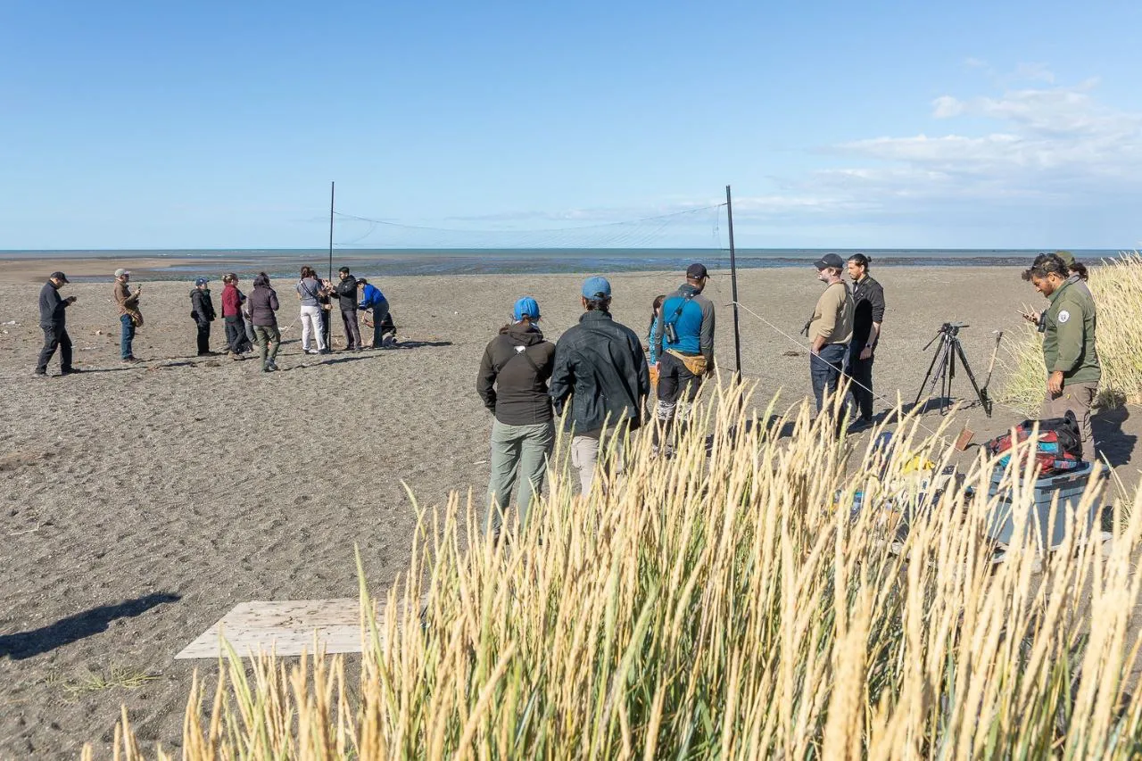 WhatsApp Image 2026-02-10 at 23.50.40 (1)