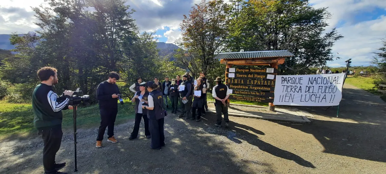 WhatsApp Image 2024-03-26 at 14.49.47