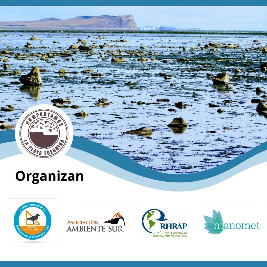 WhatsApp Image 2025-03-29 at 12.15.48