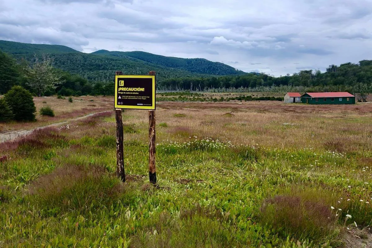 WhatsApp Image 2025-03-01 at 12.27.51 (1)