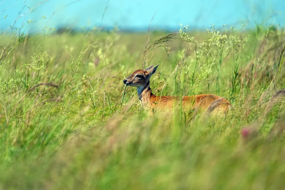 WhatsApp Image 2024-10-25 at 09.15.24 (1)