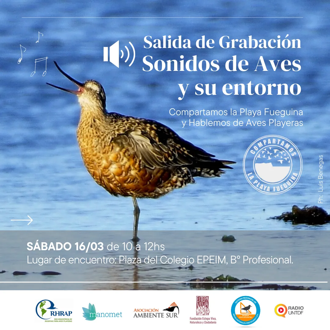 Salida Grabación Sonidos de Aves